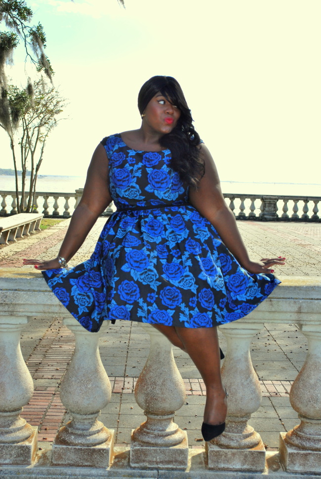 Musings of a Curvy Lady, Plus Size Fashion, PS Blogger, PS Fashion Blog, Eshakti, Brocade, Ladylike, Vintage, Plus size dresses