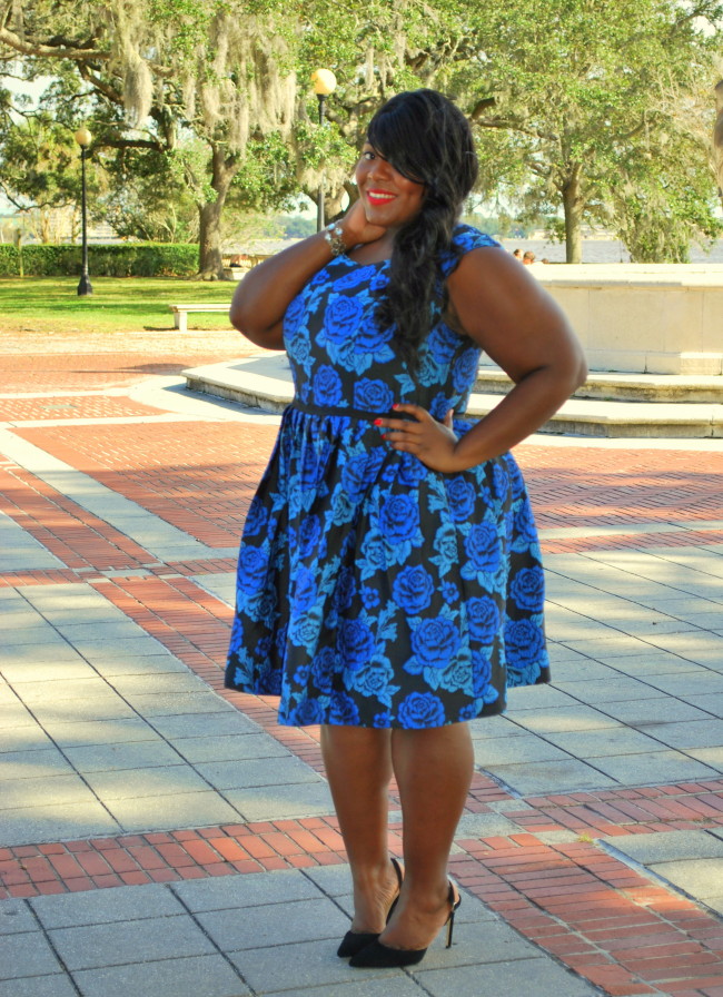 Musings of a Curvy Lady, Plus Size Fashion, PS Blogger, PS Fashion Blog, Eshakti, Brocade, Ladylike, Vintage, Plus size dresses