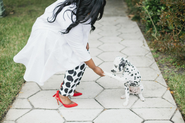 Musings of a Curvy Lady, Plus Size Fashion, Fashion Blogger, Ashley Stewart, Duster, Polka Dot Pants, Ruffled Duster, Dalmatian, Dalmatian Puppy, Jacksonville, Florida, Florida Blogger, Printed Pants, Women's Outfit, StyleWatch Magazine, The Outfit, #realOutfitGram 