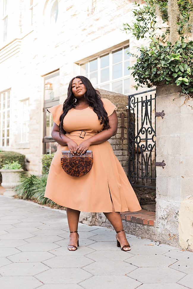 Women's Fashion, Musings of a Curvy Lady, Lane Bryant, Lena Dress Tortoise Belt, Lena Dress, Spring Dress, Tortoise Accessories, Plus Size Blogger, Spring 2020, Neutrals for Spring